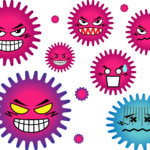 病原菌である細菌やウイルス