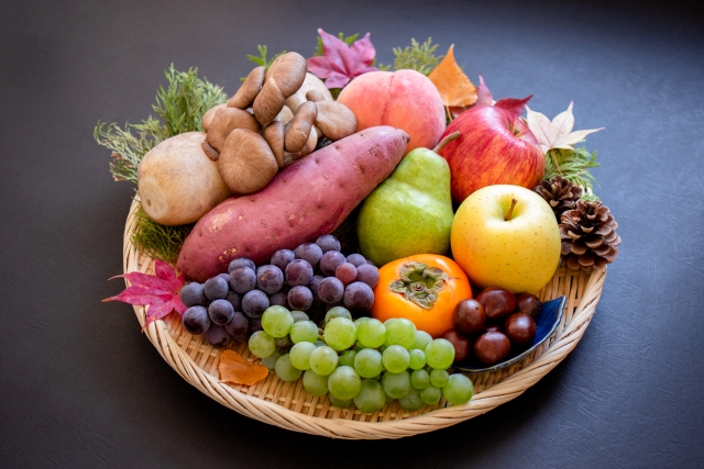 様々な栄養素を摂取するために多くの食材を集める