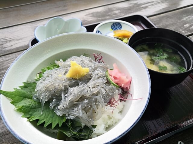 生シラス丼セット