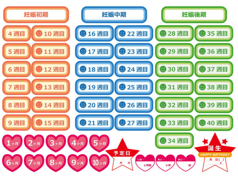 妊娠中の時期別スケジュール