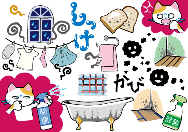 湿度が高いと感じる部屋