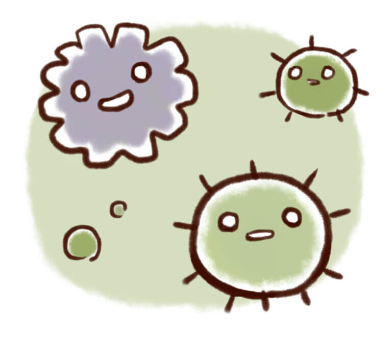 湿度とカビの関係